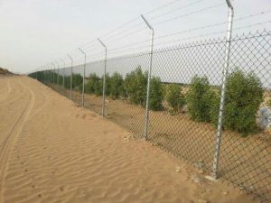 مقاول شبوك
